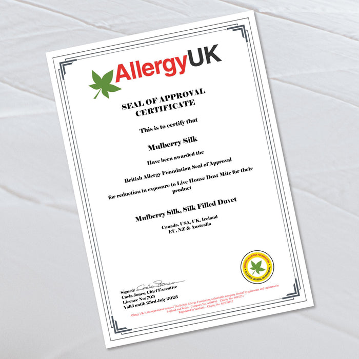 MULBERRY SILK COMFORTER