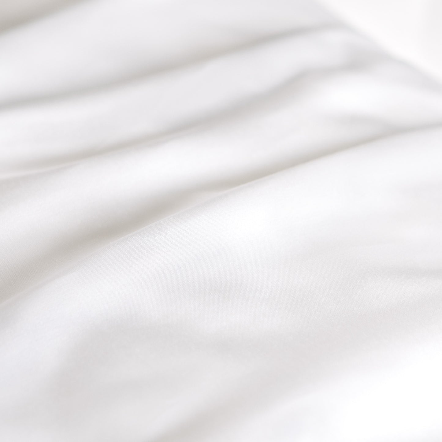 MULBERRY SILK PILLOWCASE (SINGLE)
