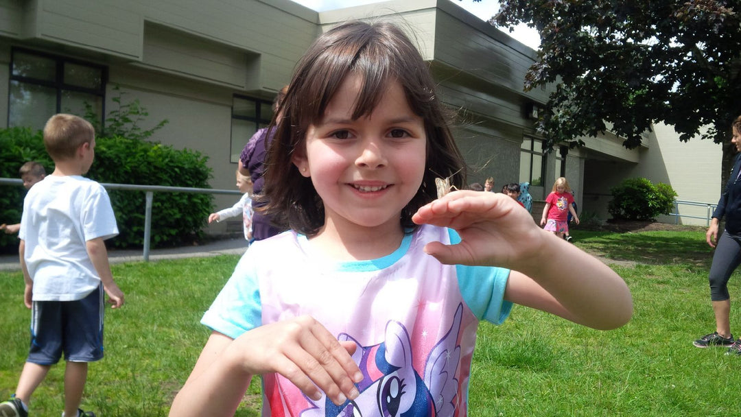 FROM COCOON TO BUTTERFLY - Ocean Sales USA