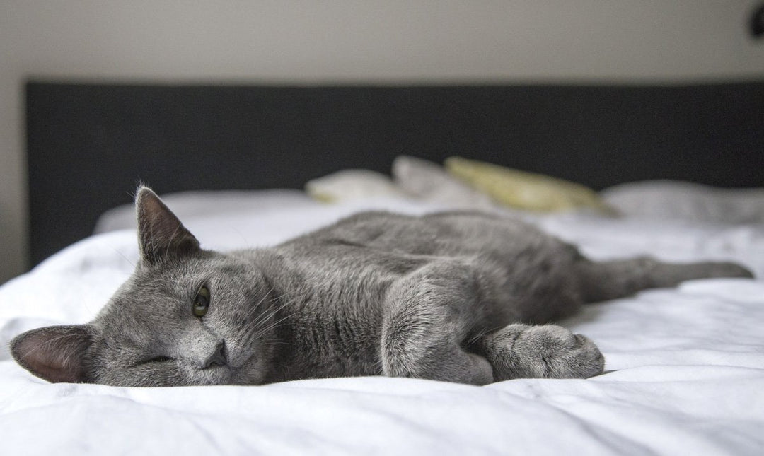 SUMMER IS ALMOST HERE, STAY COOL - Ocean Sales USA