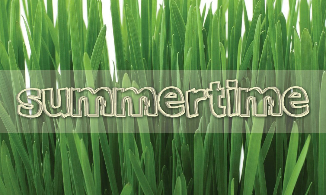 SUMMERTIME, SUMMERTIME, SUM-SUM-SUMMERTIME - Ocean Sales USA