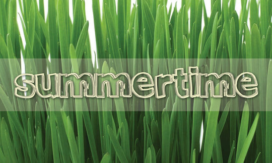 SUMMERTIME, SUMMERTIME, SUM-SUM-SUMMERTIME